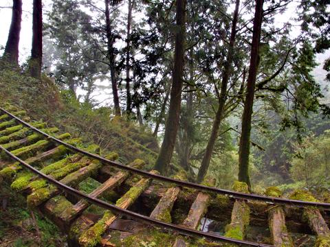 Verbliebene Reste der Gleise mitten im Wald bieten heute einen sehr exotischen Einblick.
