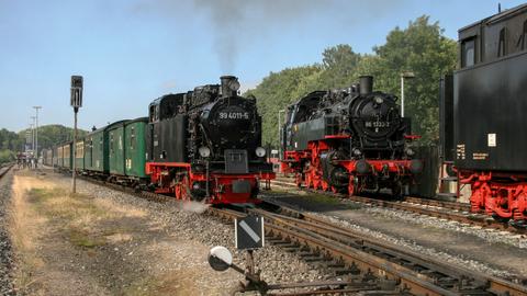 Am 12. Juli begegneten sich 99 4011-5 und 86 1333-3 in Putbus.